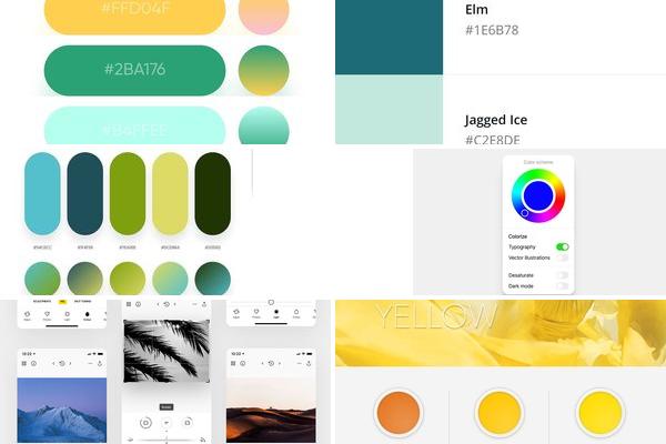 app好看的颜色设计