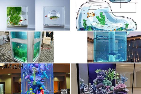 开水族馆鱼缸设计图