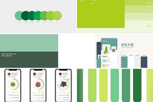 养生app颜色搭配