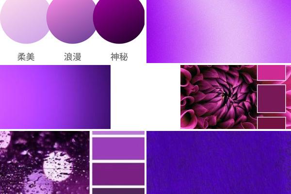 幽紫色是什么颜色的图片