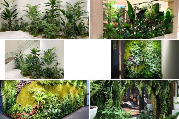 植物美陈的图片