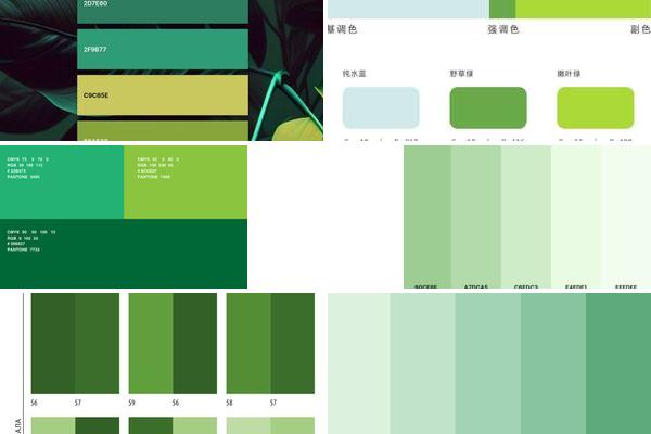 清新绿色ICON配色的图片