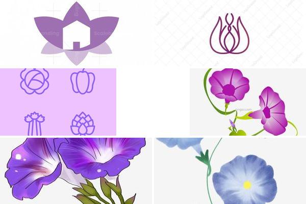 紫色牵牛花ICON