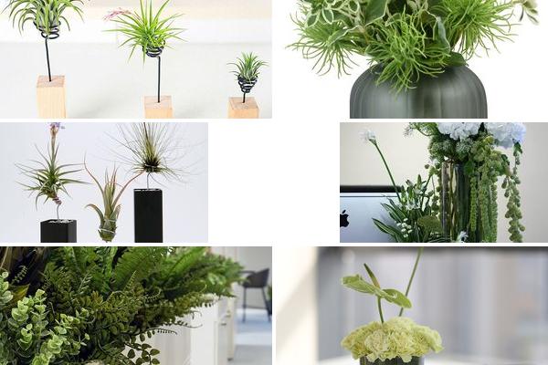 花艺摆件办公室环境的图片