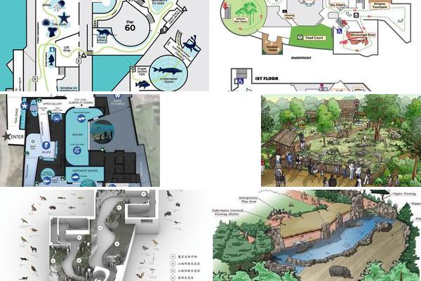 动物园建造平面图