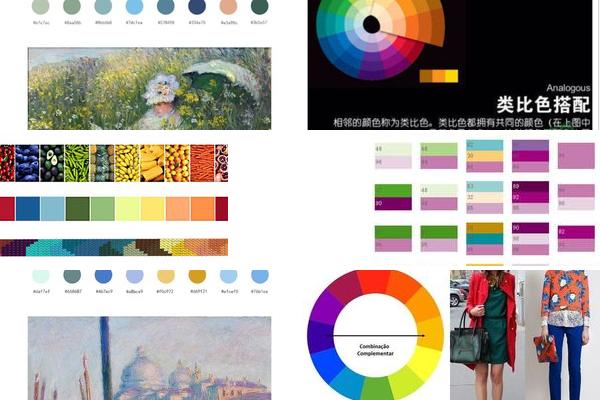 色彩搭配 培训