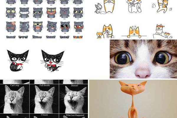 三只猫创意设计的图片