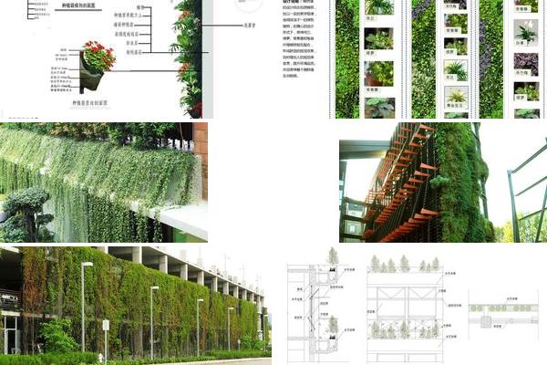 垂直绿化构造详图