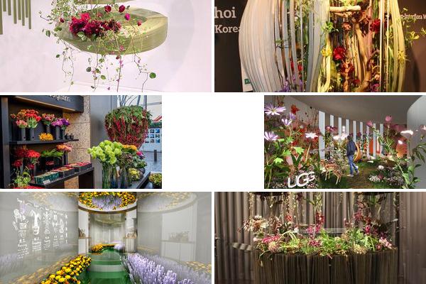 鲜花展览设计图的图片